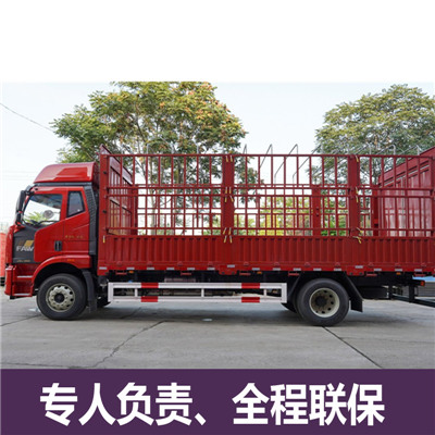 惠州到平頂山整車運(yùn)輸公司-惠州到平頂山整車運(yùn)輸